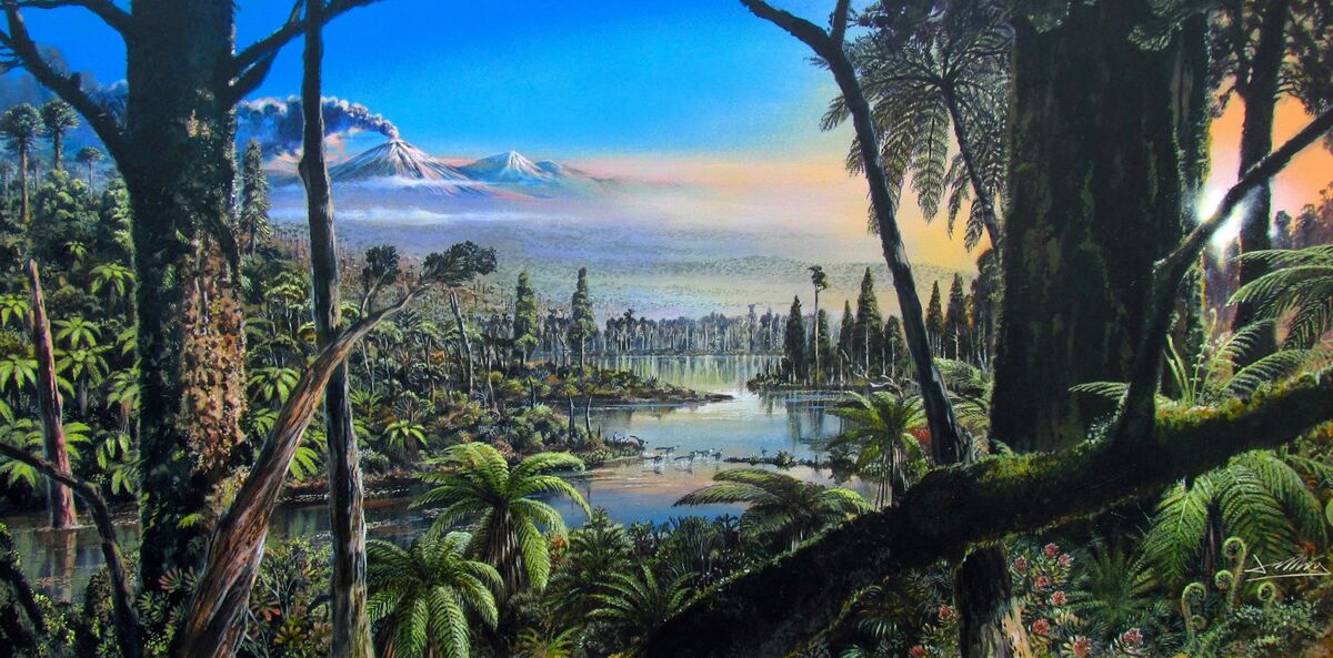 relates to It’s Official: Antarctica Used to Have a Rainforest