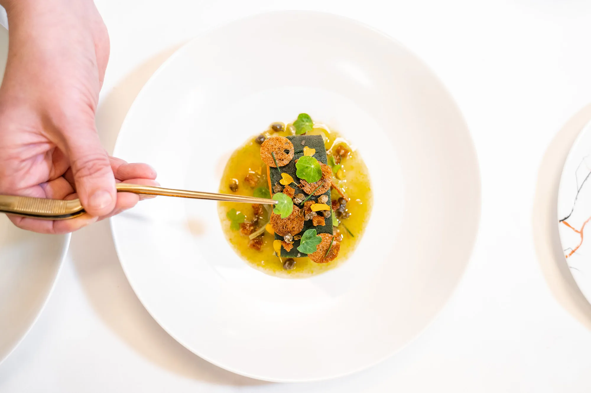 Confit salmon with parsley, lemon and caper.&nbsp;