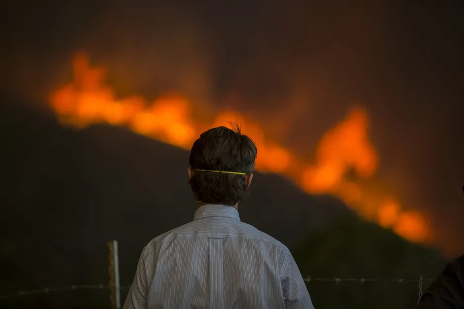 Helping people process the scale of the climate catastrophe—and grieve for what we are about to lose—is essential for inspiring action, say proponents of "climate grief" counseling.