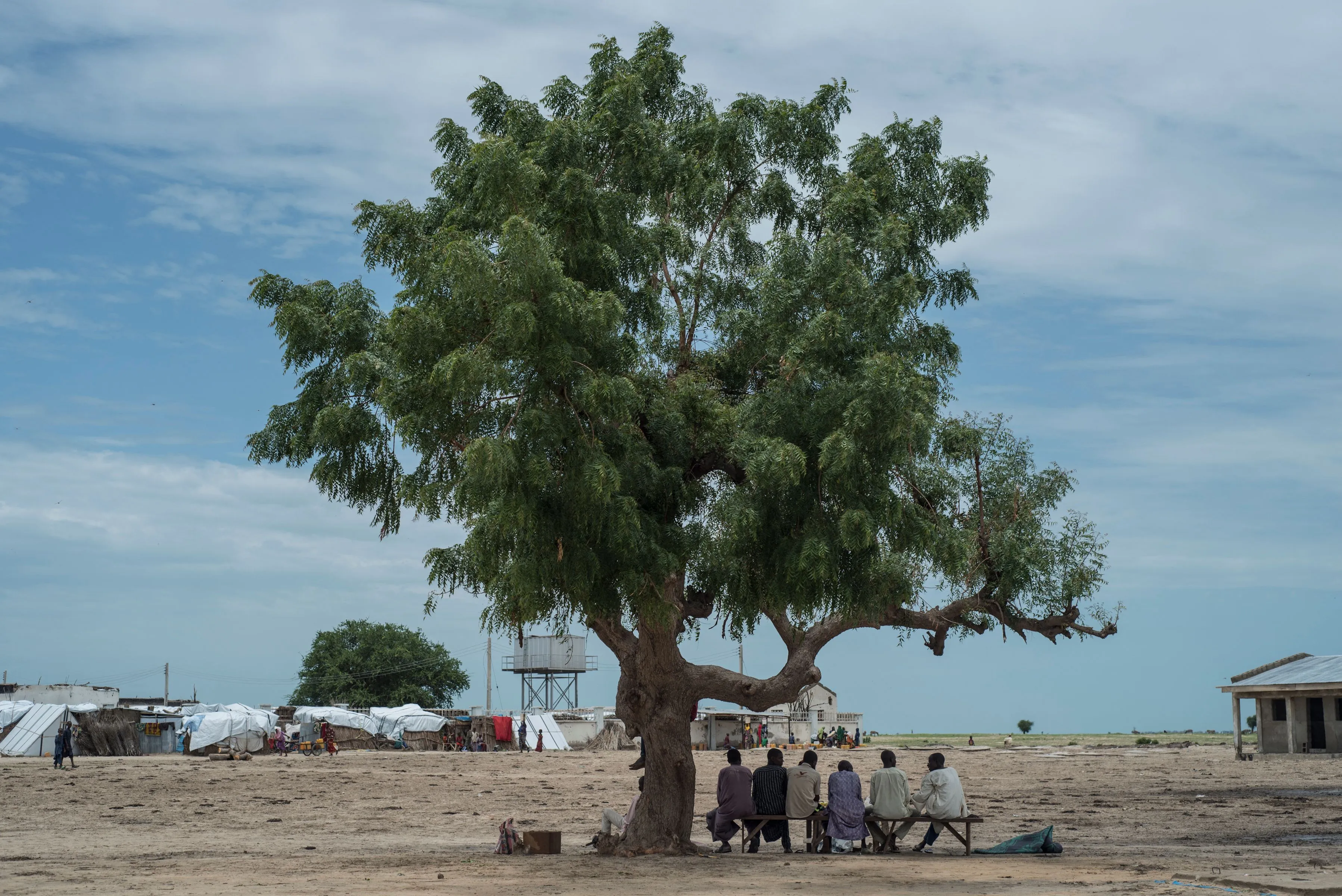 Men sit in the shade of a tree&nbsp;in north-east of Nigeria.
