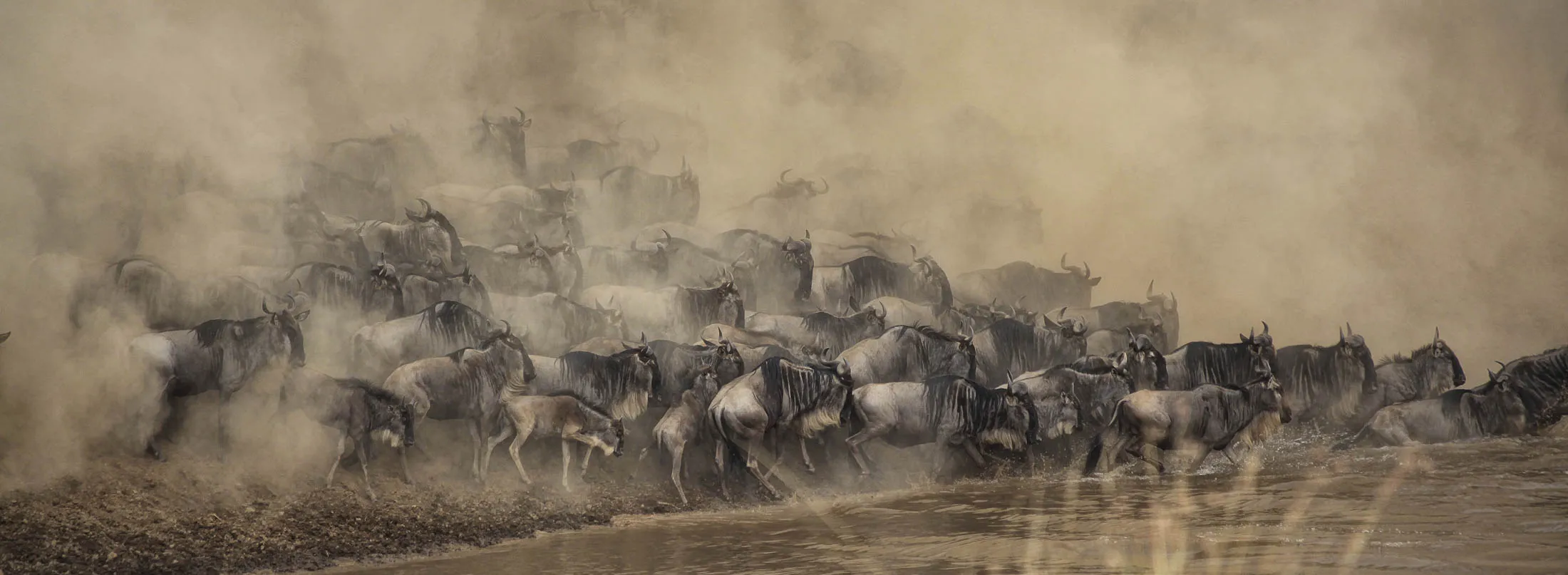 1501170773_great-migration-lede