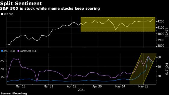 Meme Stock Marauders Aside, the Average S&P 500 Bull Is Worried