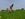 In India's Hindi Heartland, Farmer Distress Isn't Holding Back Modi