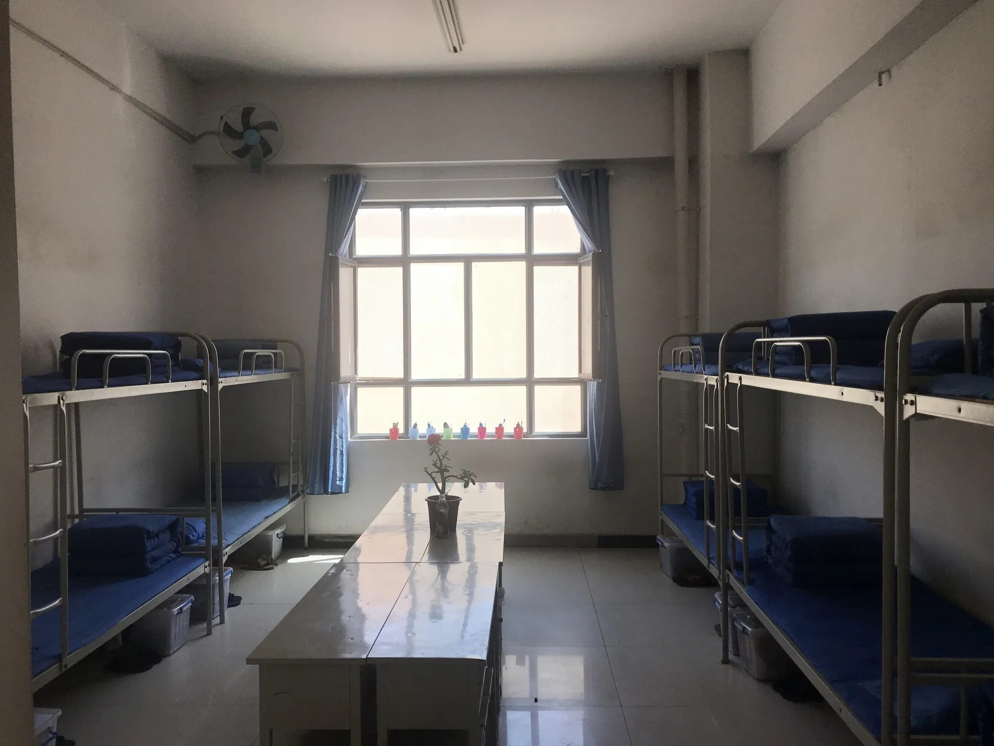 Bunk beds in a dorm at Shu Le.