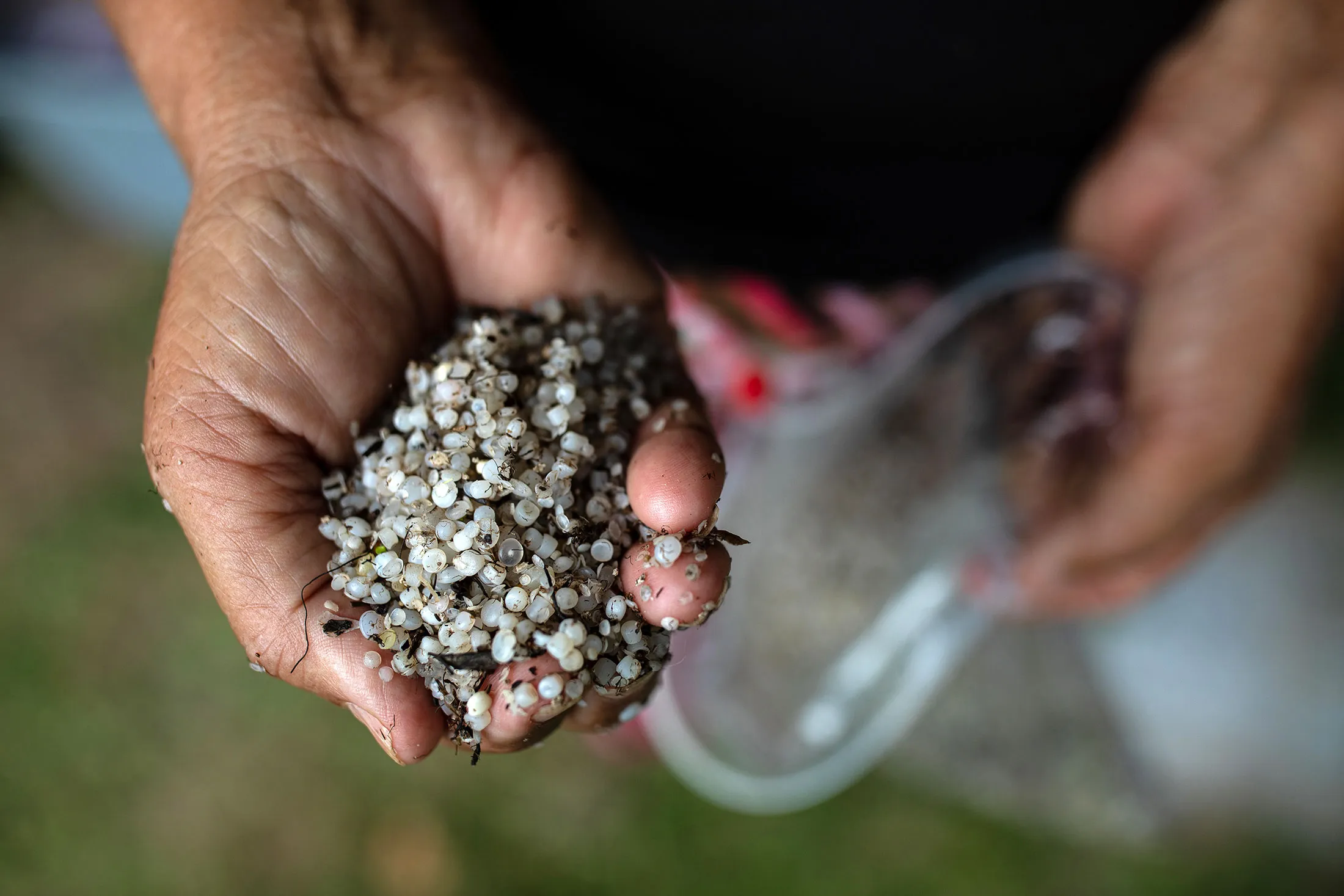 Plastic pellets gathered by activists in Texas.