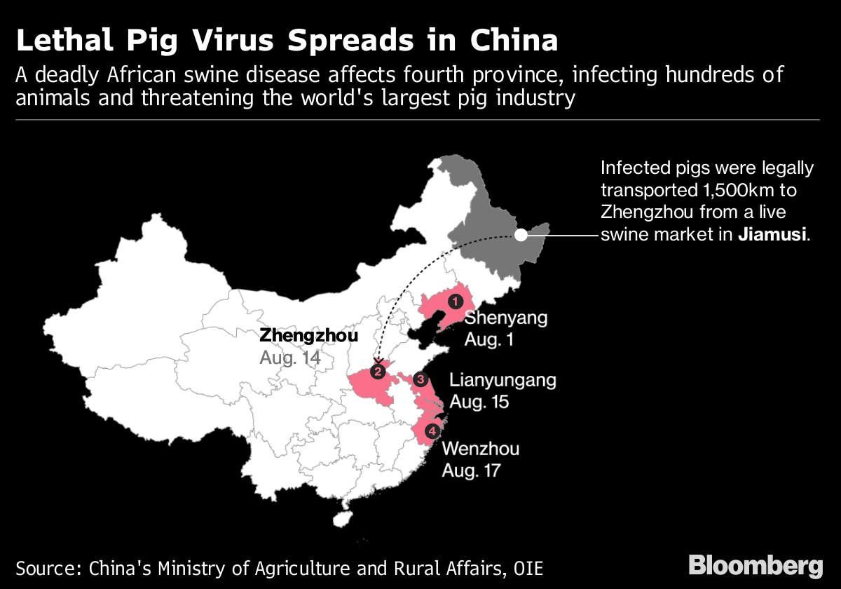 African Swine Fever Outbreak Could Spread to Korea, SE Asia - Bloomberg1200 x 840