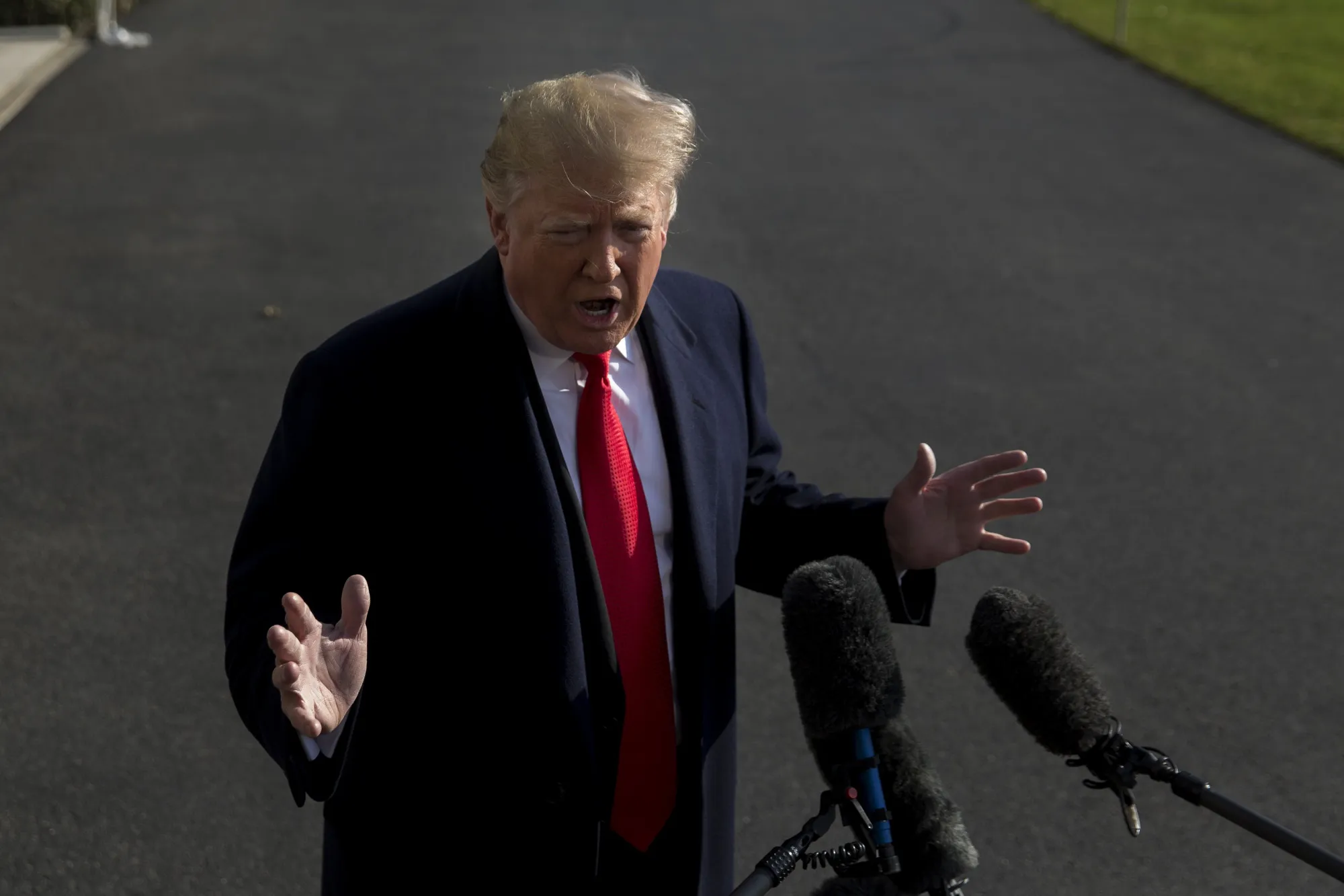 President Donald Trump&nbsp;