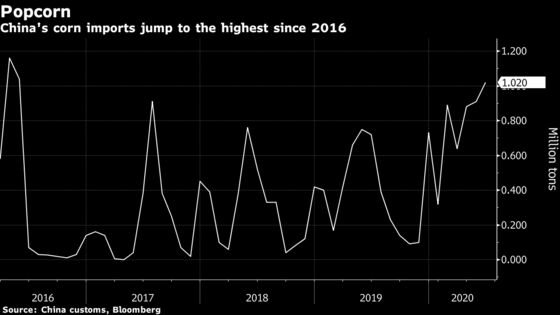 China Blames Speculation and Hoarding for Corn Price Surge