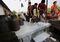 Chinese Dairy Farmers Suffered Heavy Loss From Tainted Milk Scandal