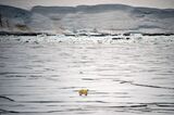 RUSSIA-ARCTIC-CLIMATE