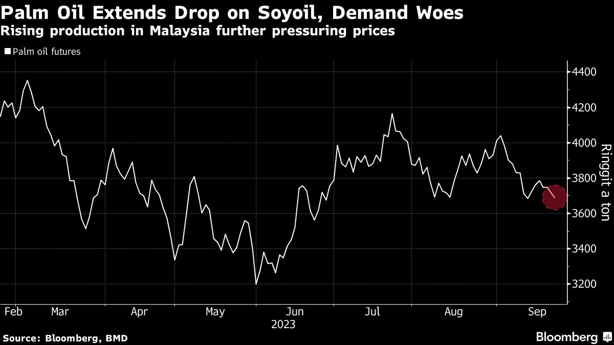 Palm Oil Hits Three-Month Low on Weaker Soyoil and Demand Worry - Bloomberg