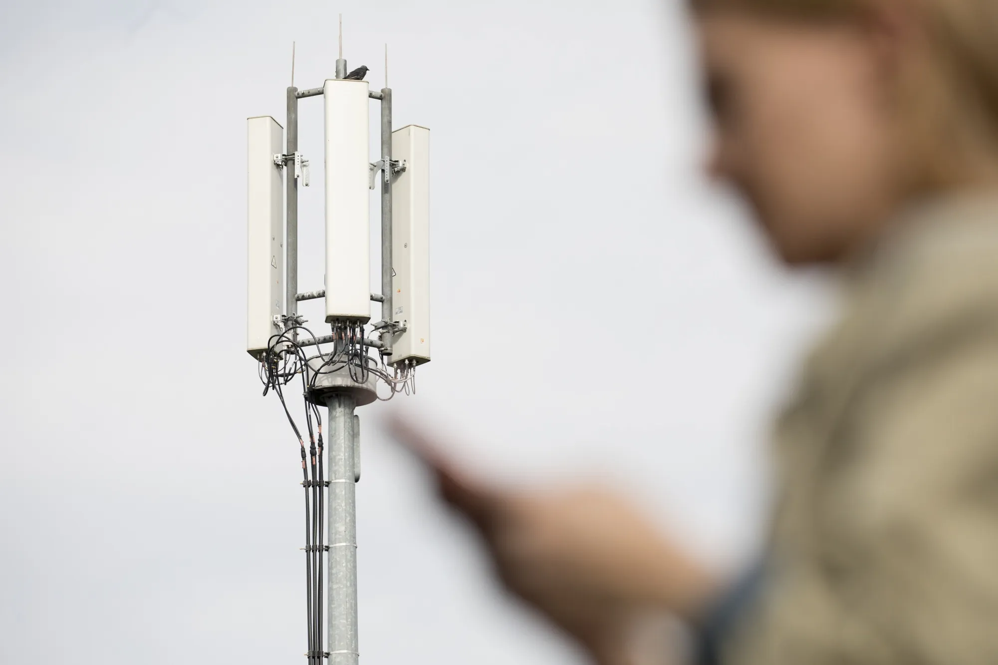 U.K. PM Johnson Urged to Ban Huawei in U.K. 5G Networks by End-2021