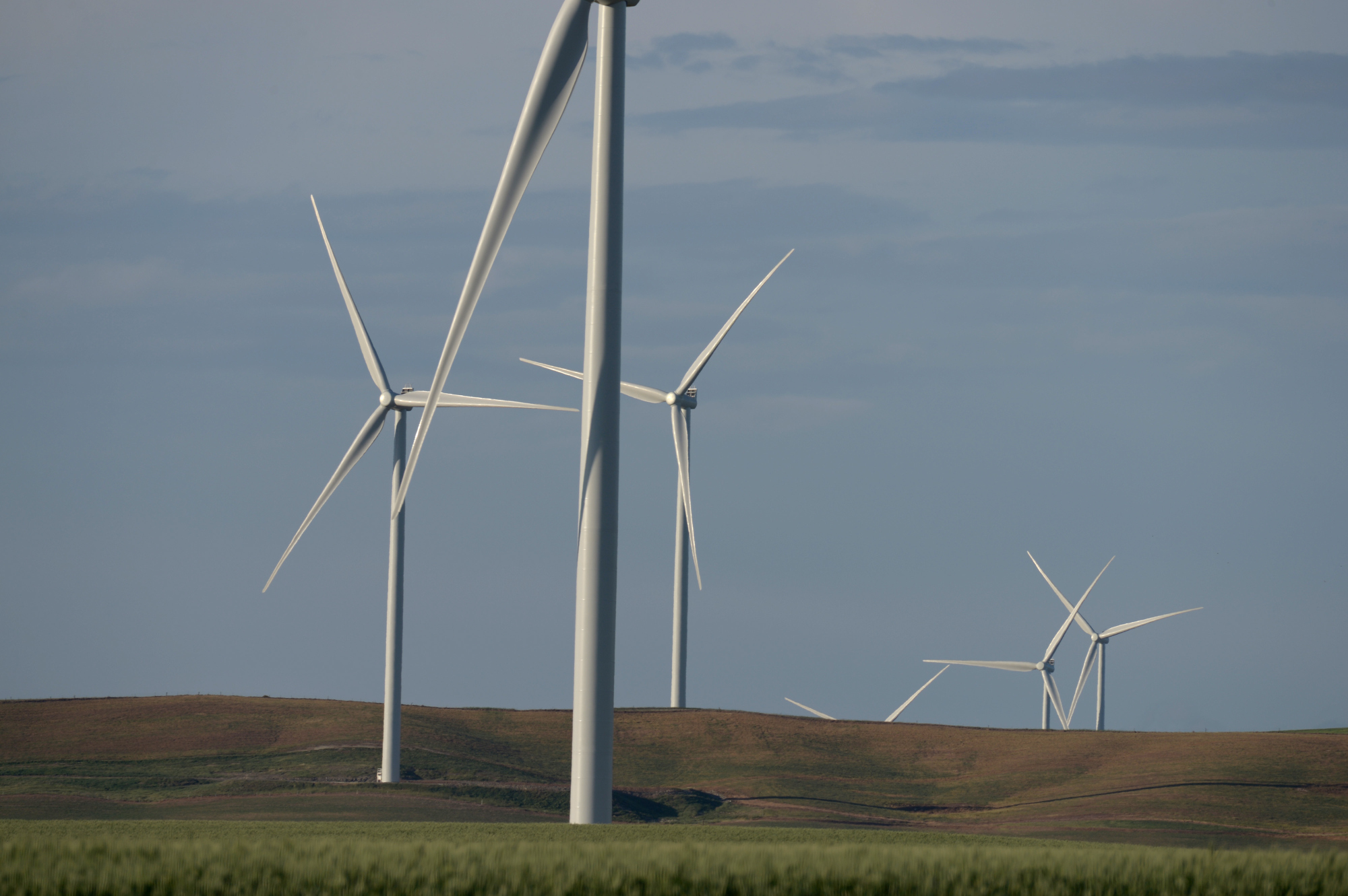 General views of Hornsdale Wind Farm