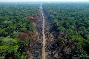 A deforested area in Amazonas State, Brazil.