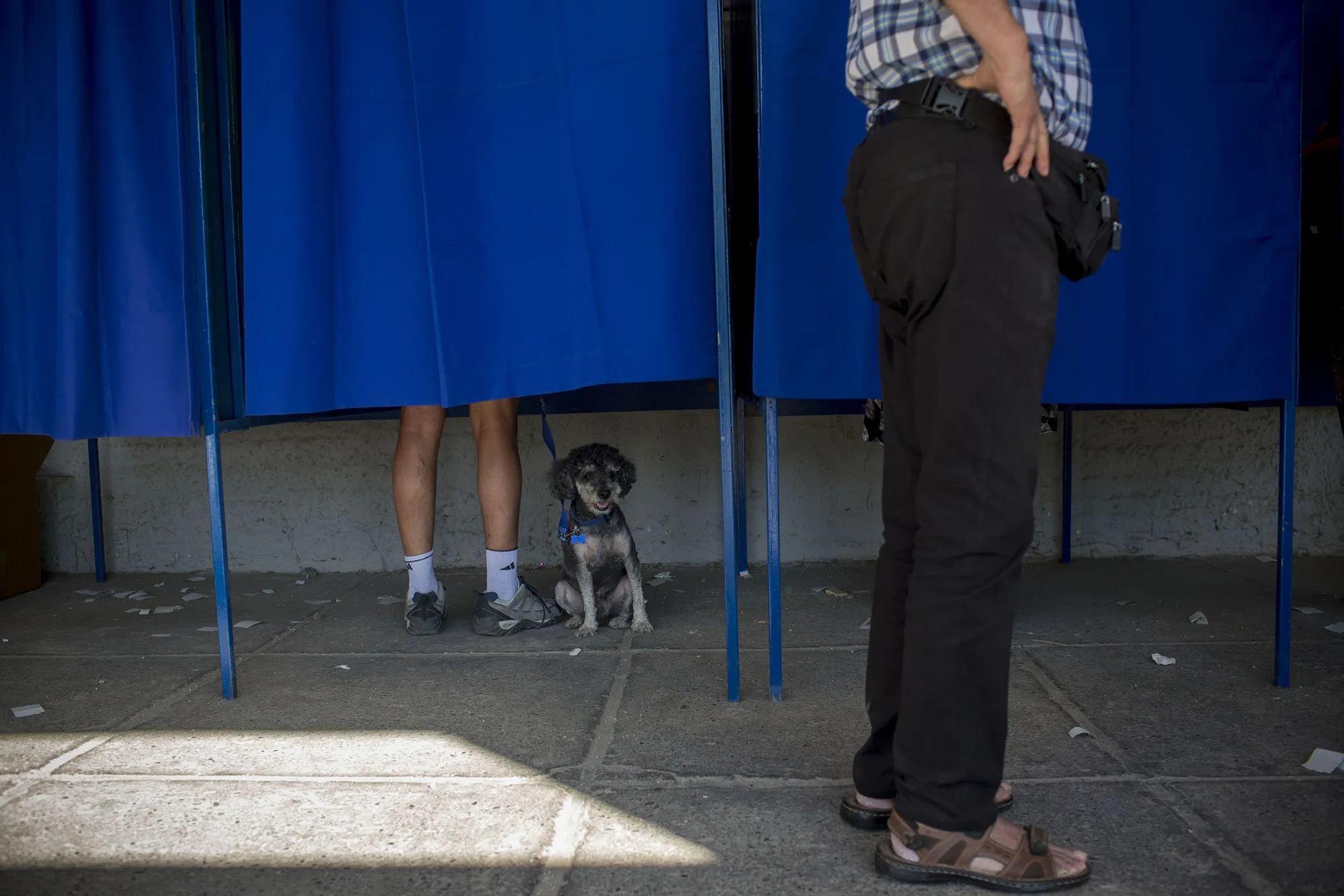 A dog waits while a voter casts a ballot in a booth during the presidential election in Santiago,&nbsp;on&nbsp;Nov. 19, 2017.&nbsp;