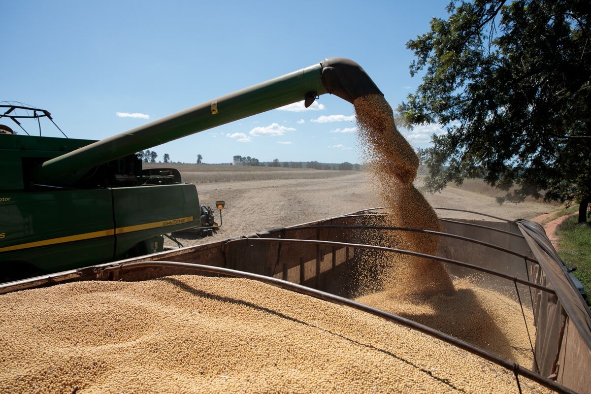 What to Know About the Global Hunger Crisis on World Food Day 2020