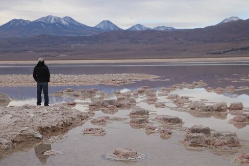 Flamingo nests in Saladita lagoon.