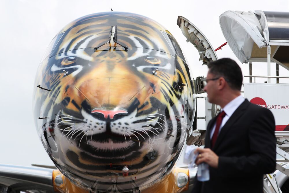 TIGER LIVERY