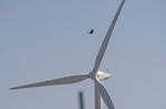 A bird flies over a wind turbine at a wind farm near Highway 12 in Rio Vista, California.