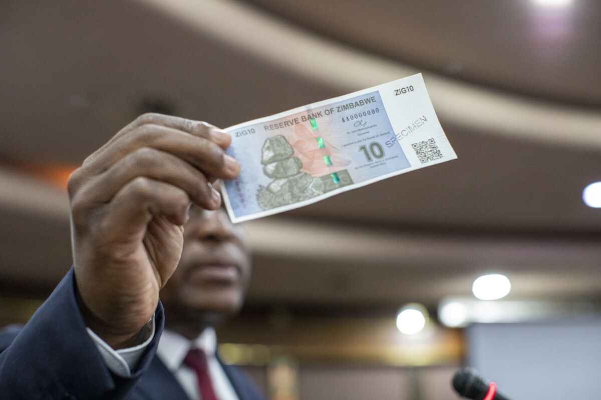 Zimbabwe’s ZiG Is a Step to Abandoning US Dollars, Vice President Says