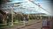 eataly-world-orchard-rendering