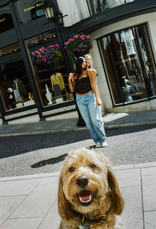 Doodle sits in bottom of photo frame while two women pose for photo in background