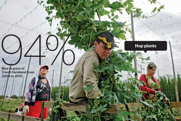 Why Czech Farmland Is a Better Bet Than Stocks and Bonds