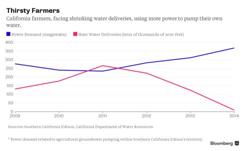 California's Thirsty Farmers