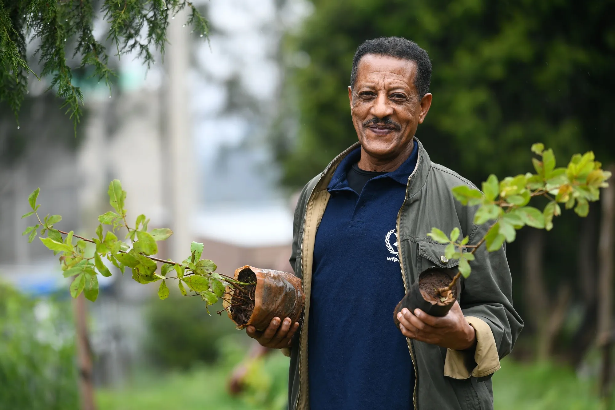 How many trees do we need?