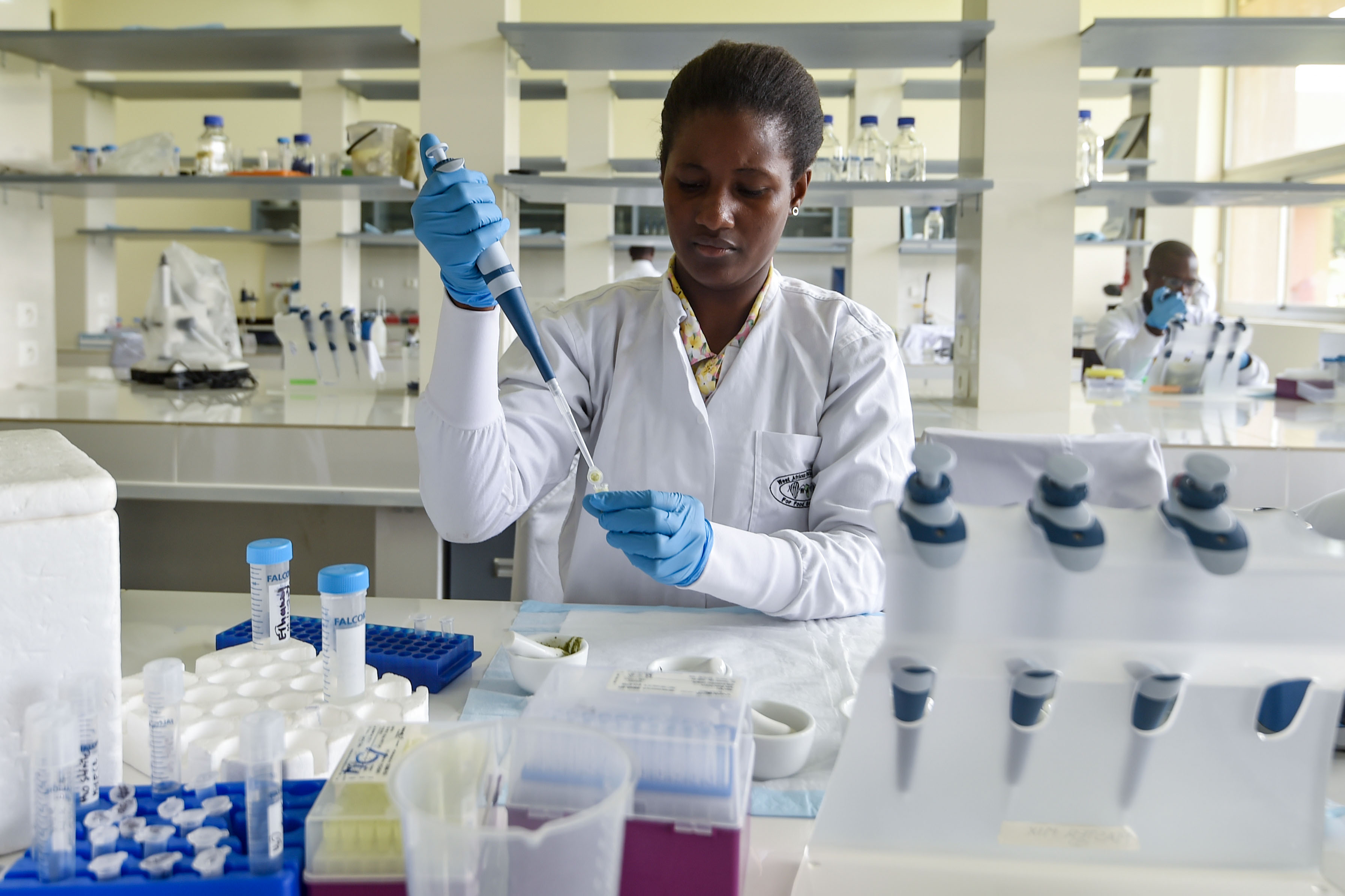 A researcher for the West African Virus Epidemiology Project in a laboratory on June 27, 2018.
