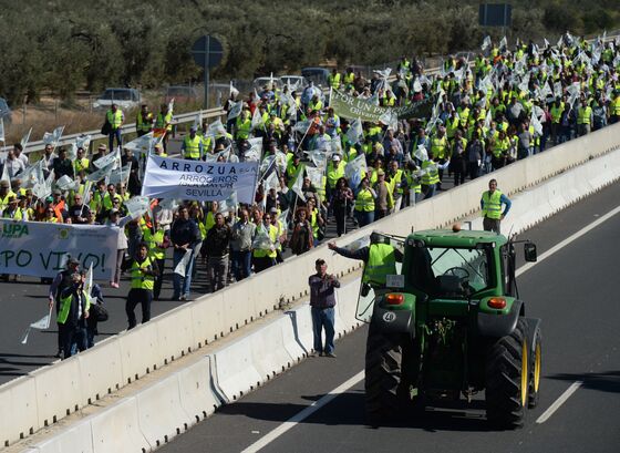 Spain Announces Steps to Aid Farmers After Protests