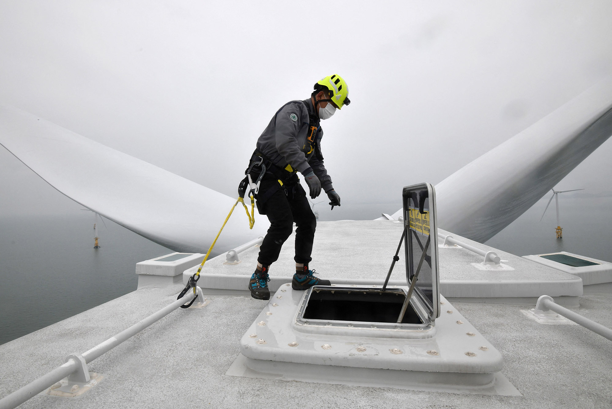 Renewable Energy Boom Unleashes a War Over Talent for Green Jobs