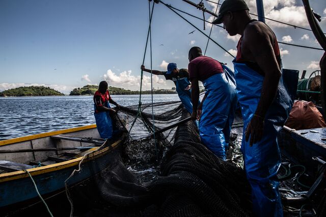 A group of fishermen stock sardines that will be transformed into fish flour in Guanabara bay, Rio de Janeiro.
