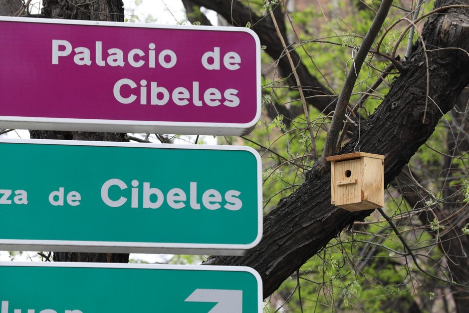 One of more than 100 birdhouses that Madrid's city government has installed around the city