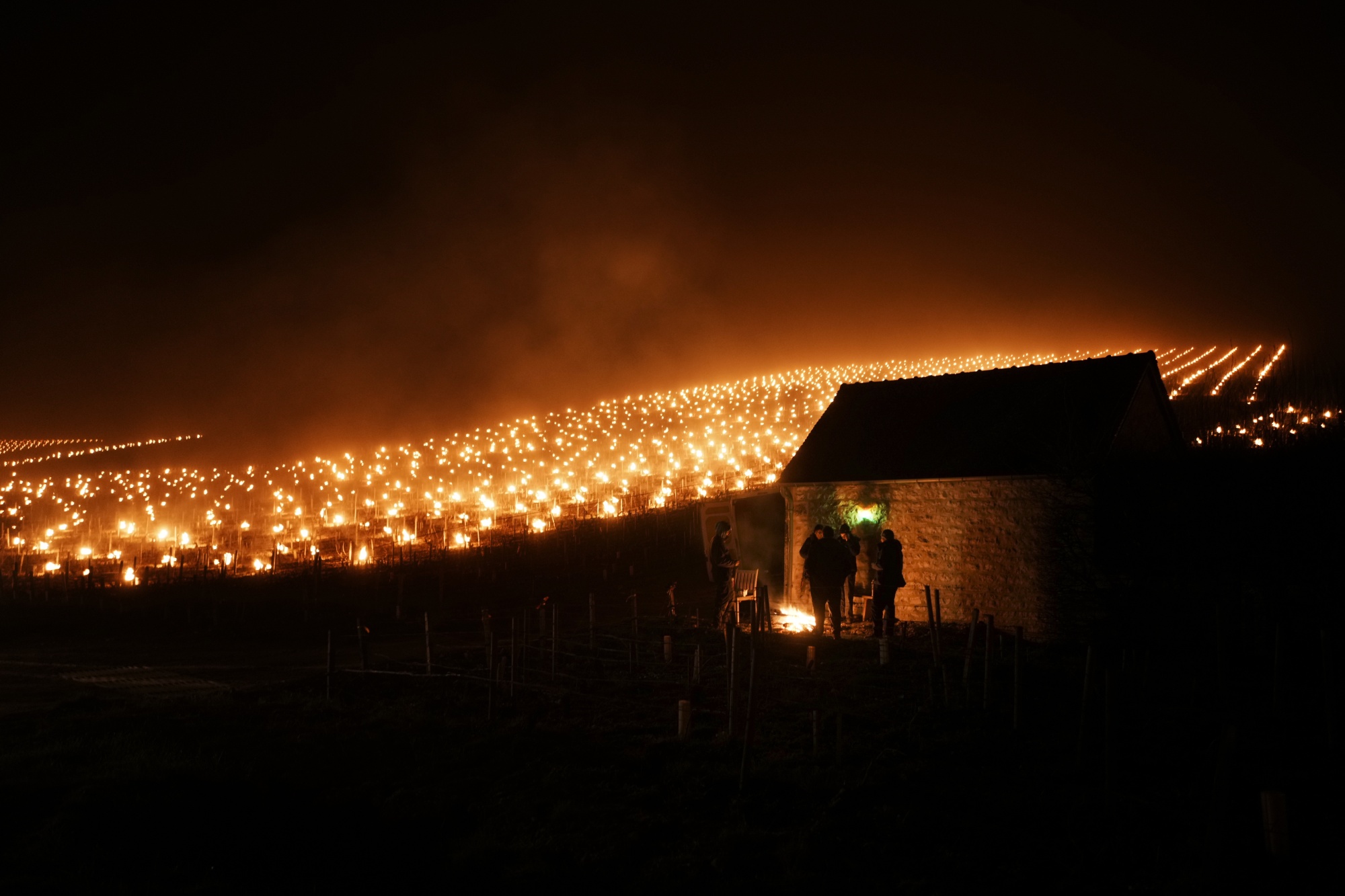 Chablis Porn - Burgundy Top Wines Threatened After Frost Ices Crops in Chablis - Bloomberg