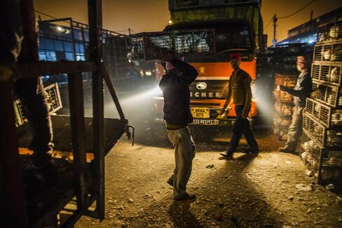 Operations At The Ghazipur Murga Mandi Poultry Market Ahead Of Wholesale Figures