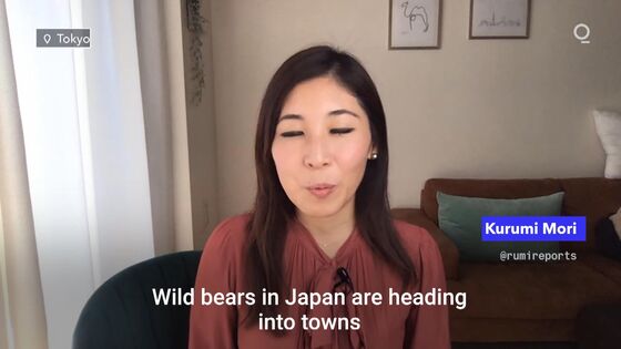 Japan Faces Worst Wild Bear Attacks in Five Years During Virus