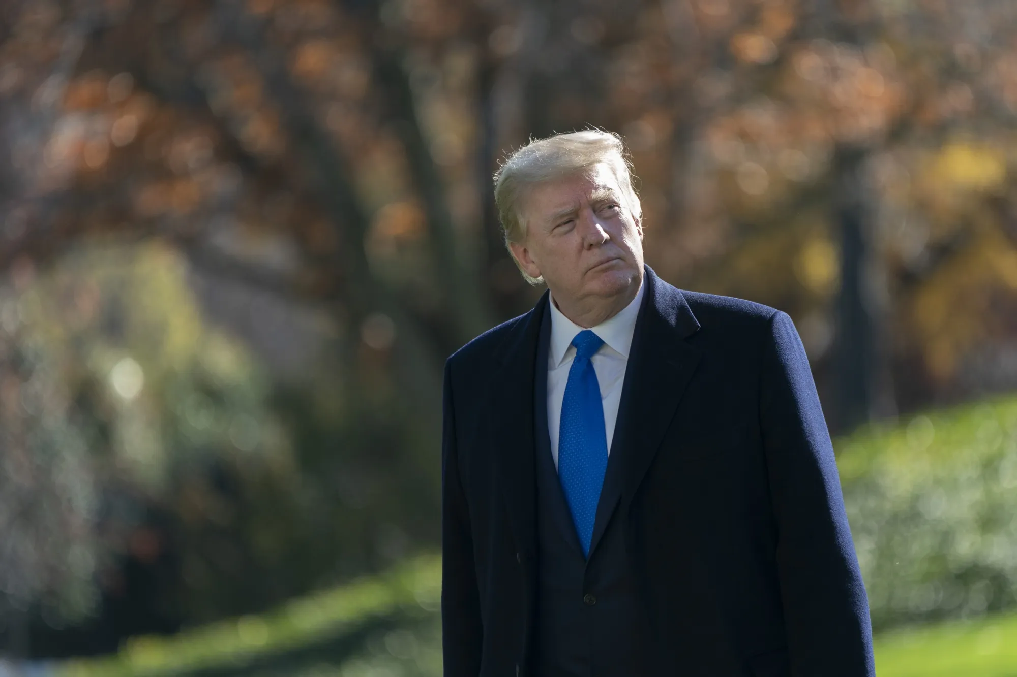President Donald Trump