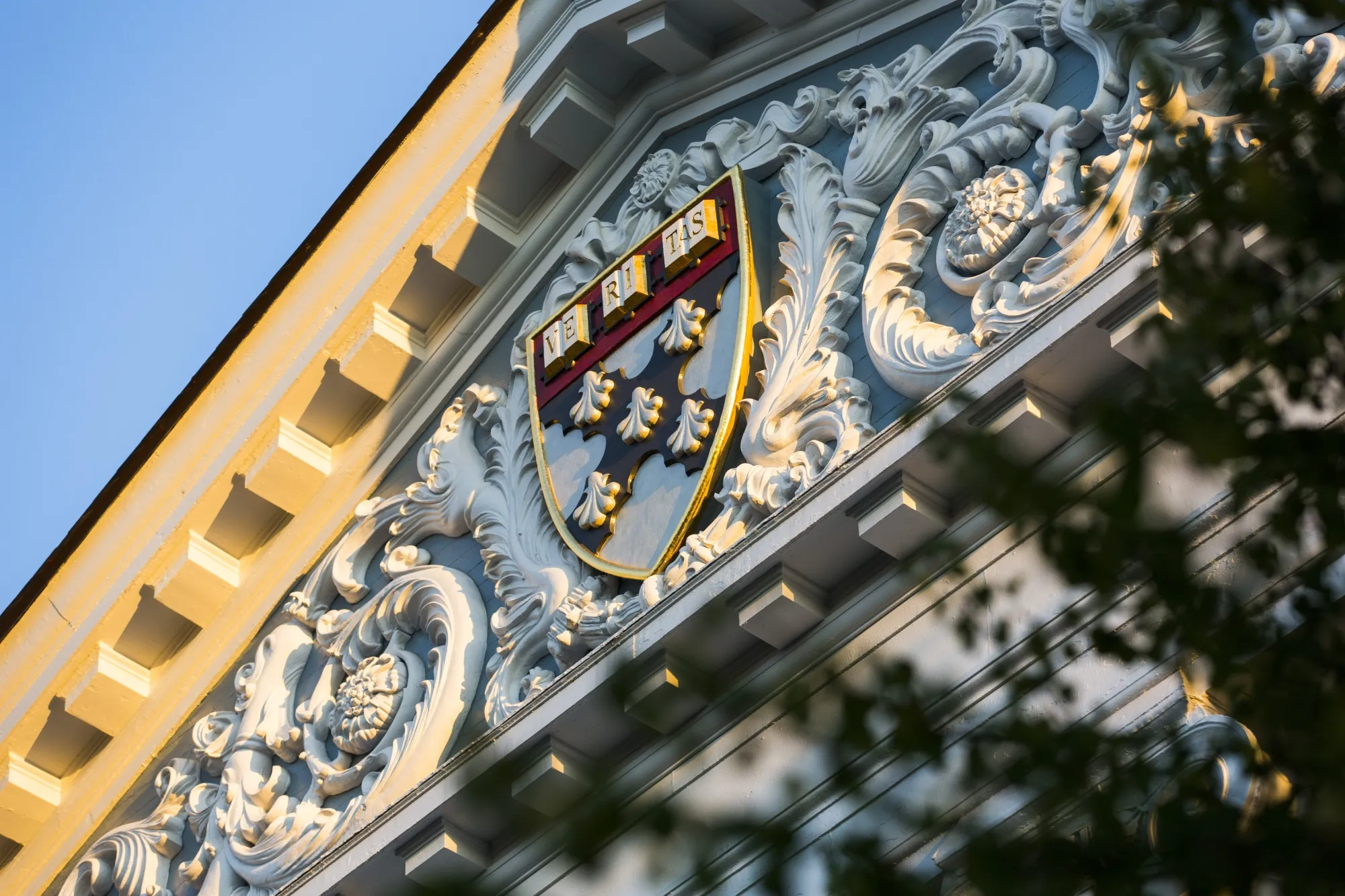Harvard Business School