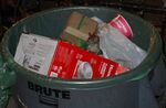 A rat sticks its head out of a garbage can in New York City.&nbsp;