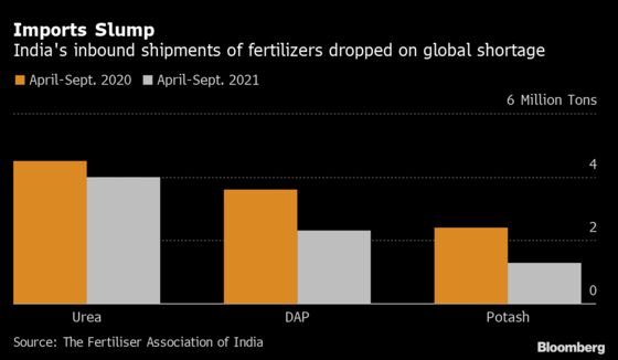 Black Market for Fertilizers Is Booming in India as Prices Soar