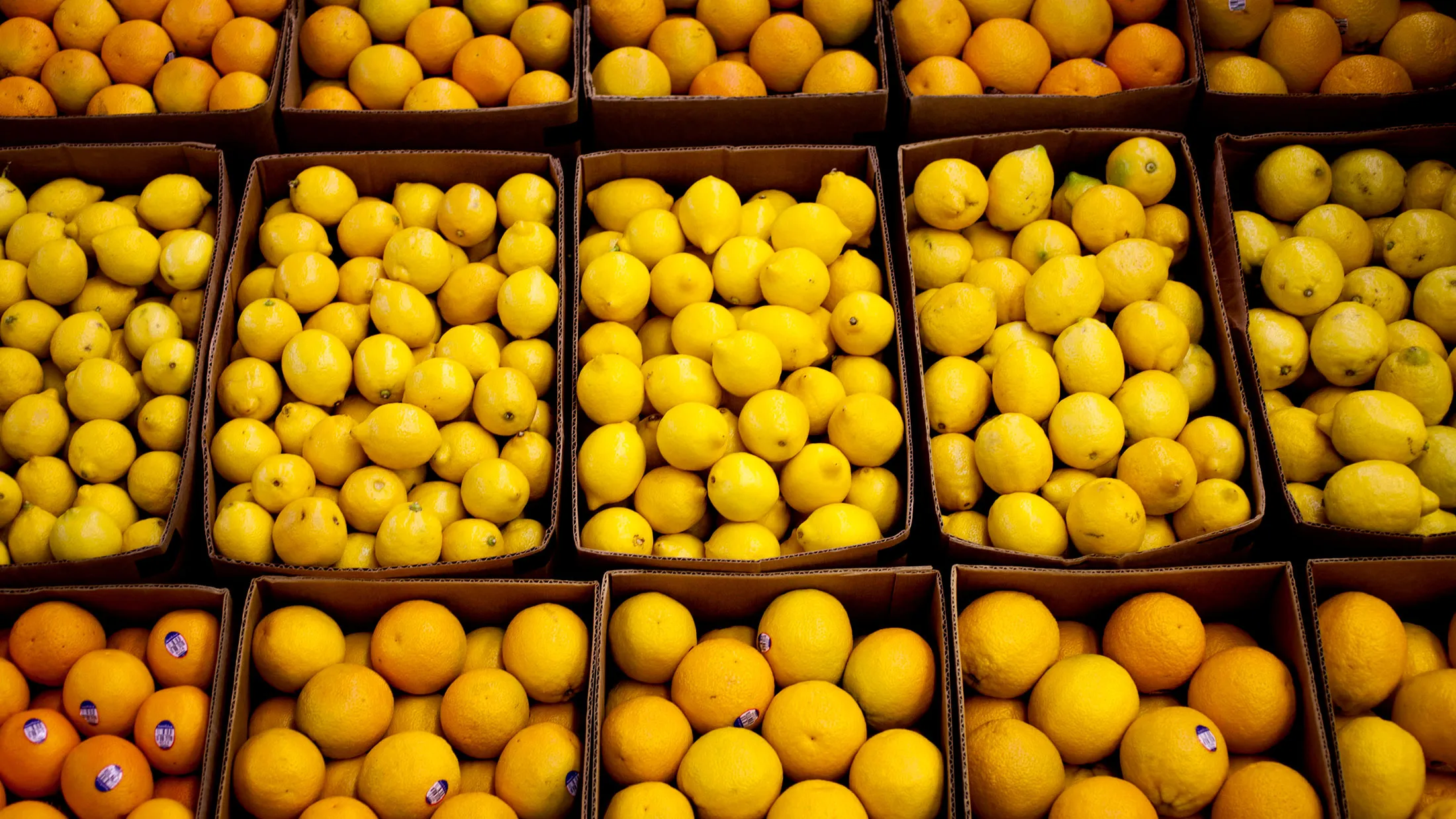 Lemons are displayed at the Los Angeles Wholesale Produce Market in Los Angeles, California, U.S., on Tuesday, Aug. 9, 2011.
