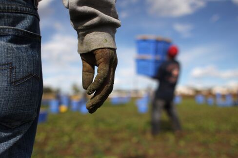 Farmworkers Crucial in U.S. Immigration Talks Short of Agreement