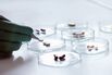 The Crucial Tests for Obamacare