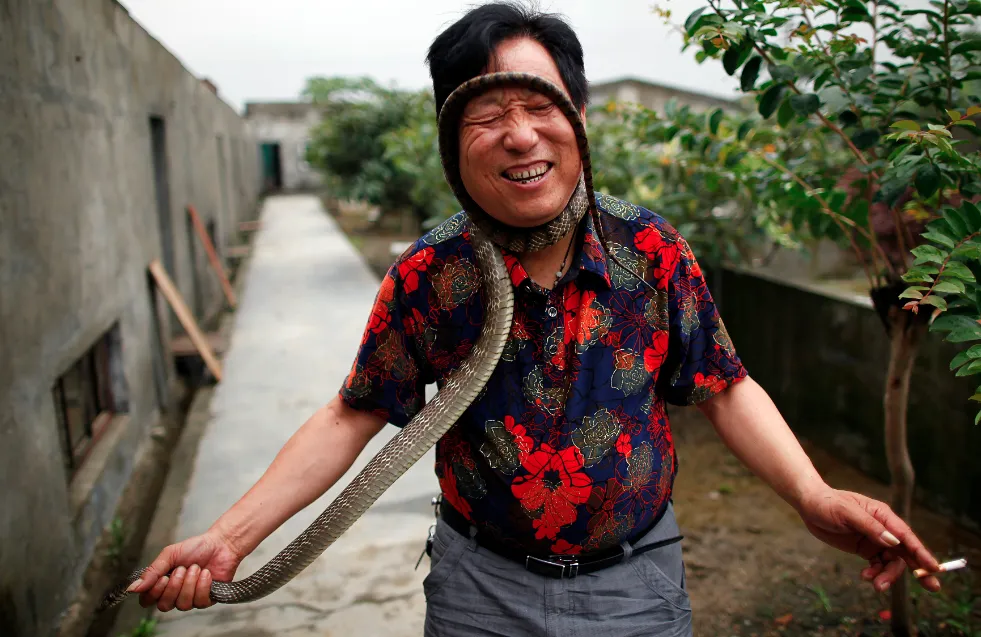 A Chinese Town Famous for Its Creepy Snakes - Bloomberg