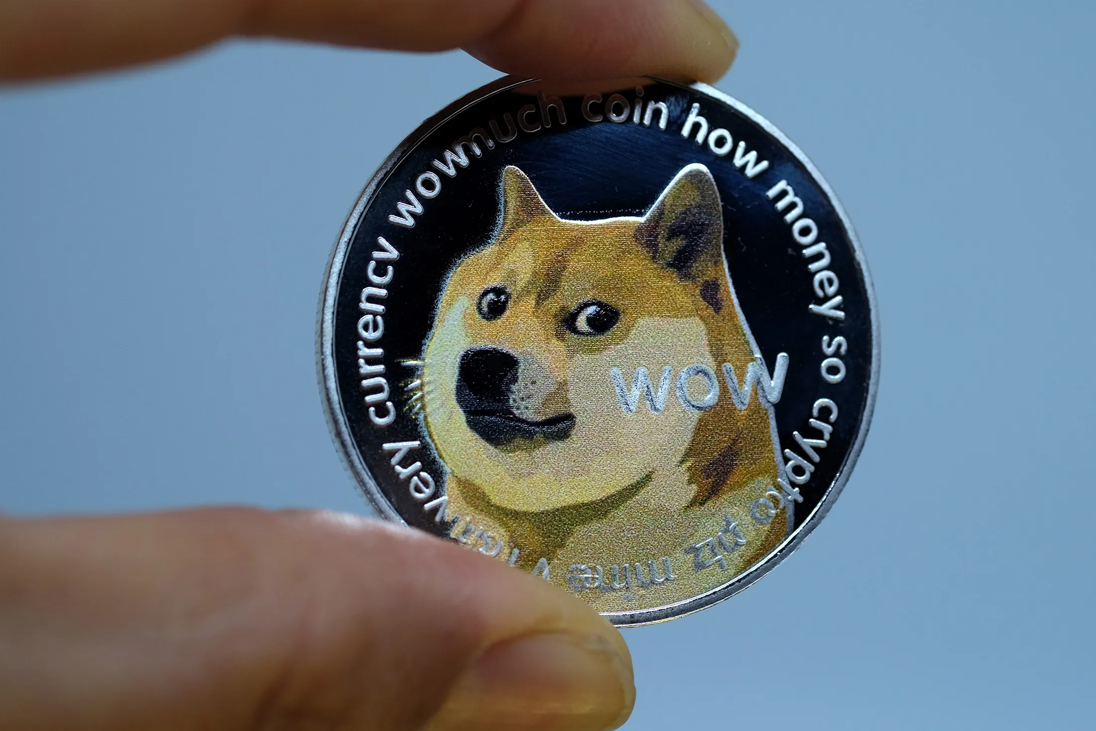 Dogecoin Frenzy Overloads Robinhood Crypto Order System - Bloomberg