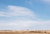 Ranchers Tell Keystone: Not Under My Backyard