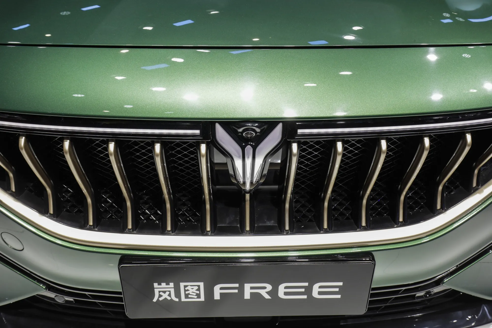 A Dongfeng Motor Group Co. Voyah Free electric vehicle.