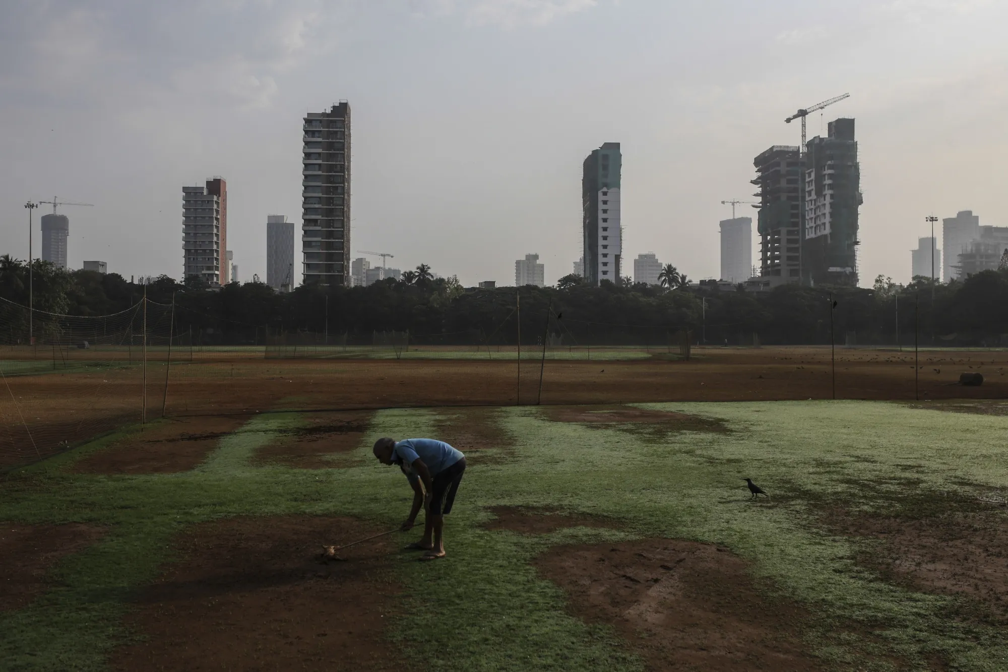 A man clears a cricket ground in Mumbai, India.