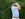 The Memorial Tournament presented by Workday - Previews